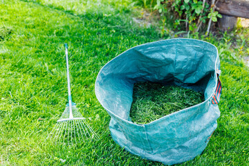 Fresh natural cut grass in blue bag with rake on the green lawn. Preparing future compost as eco...