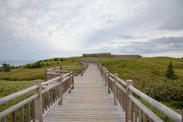 Wooden boardwalk in Shiretoko National Park, Hokkaido, Japan