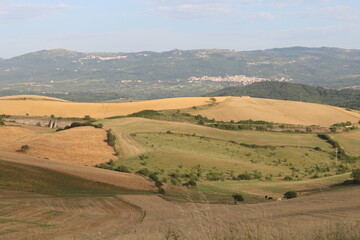 Fototapeta na wymiar Beautiful landscape of meadow in Campania, Italy. 
