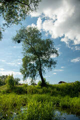 Obraz premium krajobraz