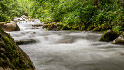 Dripping river in the mountains, its rocks and lush vegetation