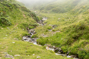 Small winding stream running down the mountain on a foggy day