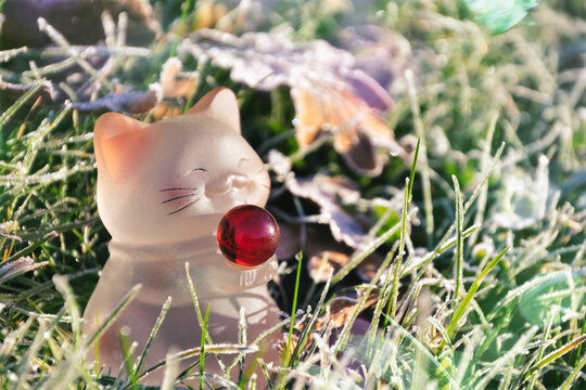 maneki neko, nature gel&eacute;e