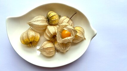physalis fruit
