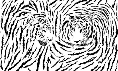 Seamless background tiger, formed by two heads - 514690580