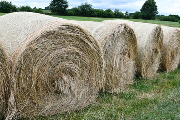 Hay Bales