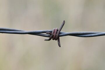 Barbed Wire