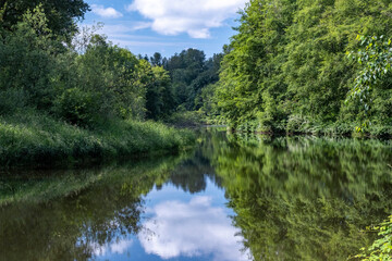 Fototapeta na wymiar Woodland and summer sky reflected in water