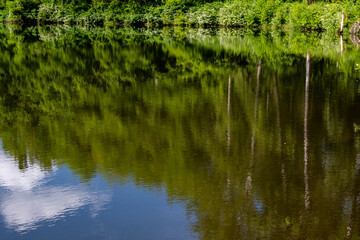 Sky and trees reflected in water