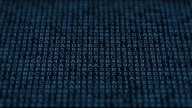 Characters on the monitor