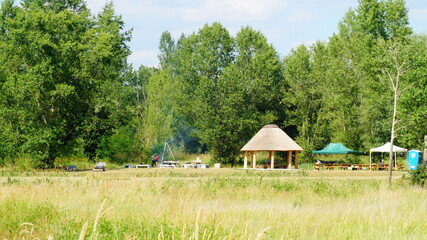 camping in the forest