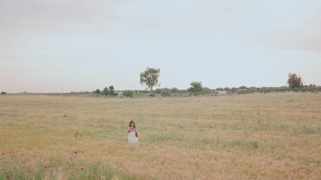 Hispanic girl happy in summer meadow. freedom playing with soap bubble. drone aerial view
