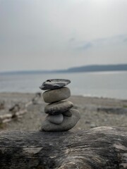 Pebble shot 
