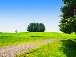 夏の北海道　美瑛
