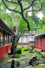 京都、十輪寺の三方普感の庭