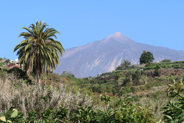 Fototapeta na wymiar Icod de los Vinos, Tenerife, Spain, June 10, 2022: Teide volcano from Icod de los Vinos, Tenerife, Spain