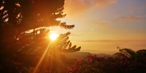 sunset in the mountains
