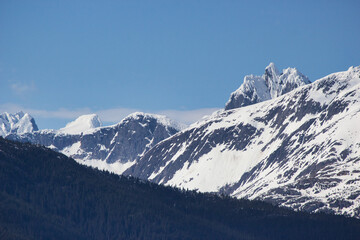 Alaskan Mountain Range in forest