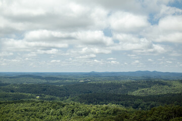 clouds over the forest