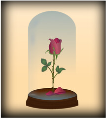 Forever rose, eternal rose