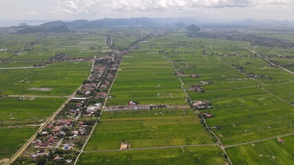 The Paddy Rice Fields of Kedah and Perlis, Malaysia