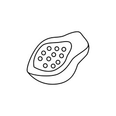 papaya icon in line style icon, isolated on white background