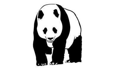 Adorable Panda vector