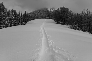 Obraz premium Utah Skier