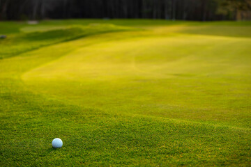 Golf ball on the green grass of a golf course in sunlight.
