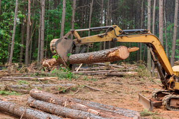 A deforestation the forest, a tractor manipulator it lifts logs for land is cleared to construct houses