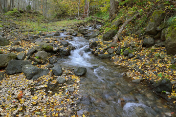 秋の渓流（北海道・知床）
