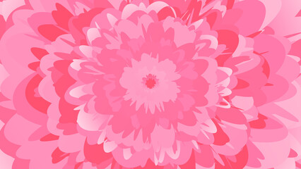 abstract pink flower explosion background