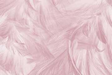 Obraz premium Beautiful violet feather pattern texture background , pastel color style