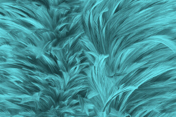 Beautiful dark green vintage color trends feather texture background