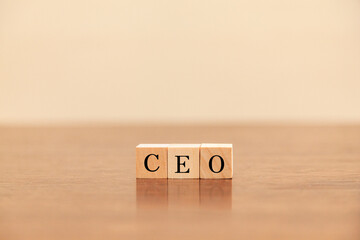 CEOの文字。最高経営責任者。Chief Executive...