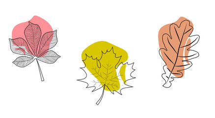 contour illustrations of tree leaves