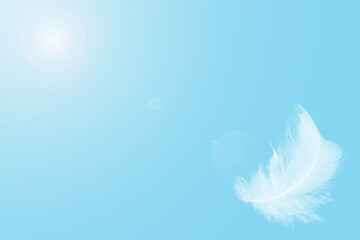 White feathers floating in the sky  pastel tone with sunlight. free space for add text or season,festival,baby products and other.