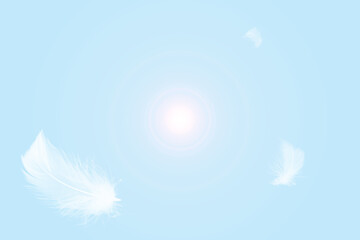 Fototapeta na wymiar White feathers floating in the sky pastel tone with sunlight. free space for add text or season,festival,baby products and other.