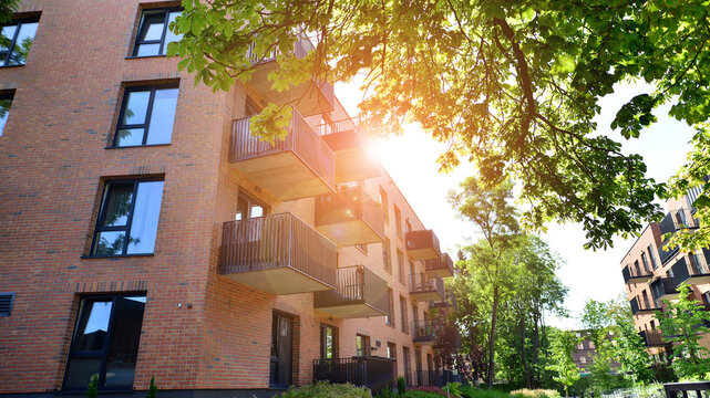 Eco architecture. Green tree and apartment building. The harmony of nature and modernity.