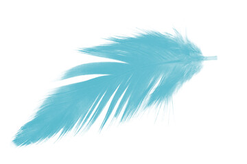 feather color turquoise emerald green on white background