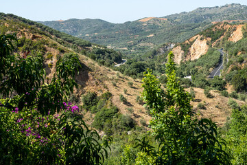 Exotische Pflanzen und Tiere auf Kreta, Griechenland