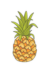 Color vector illustration of a pineapple isolated on a white background