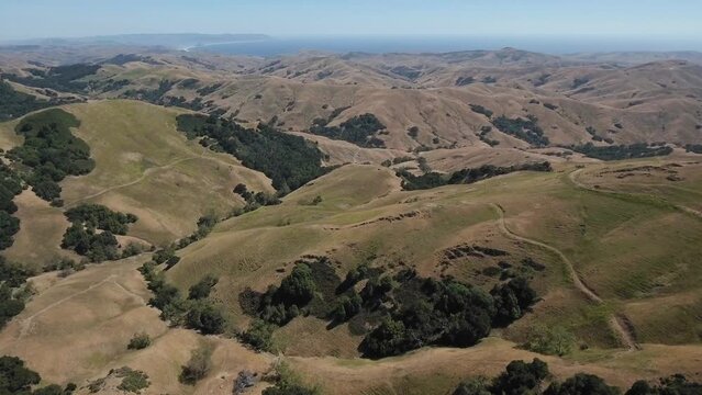 Hiking trails and oak tree patches on green hills near Morro Bay, California