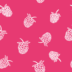 raspberries and blackberries seamless pattern. fruits hand drawn in doodle style. berries in simple line art.