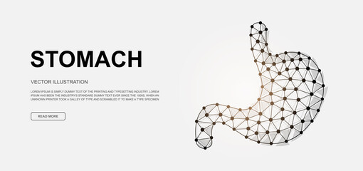 Stomach 3d low poly symbol for landing page template. Digestive system design illustration. Polygonal Organ anatomy illustration for homepage design