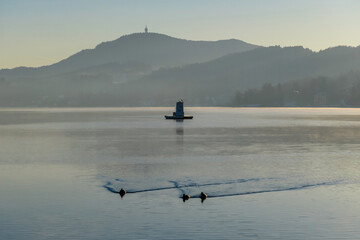 Fototapeta na wymiar Ducks swimming with wiew on Woerthersee from Poertschach in Carinthia, Austria. Calm lake reflecting the landscape. View on the Karawanks Alps and Pyramidenkogel. Sunset sunrise vibes. Wildlife