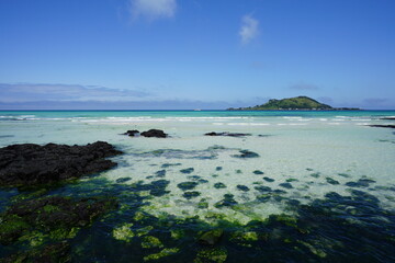 Fototapeta premium mossy rocks in shoaling beach