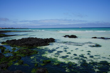 mossy rocks in shoaling beach