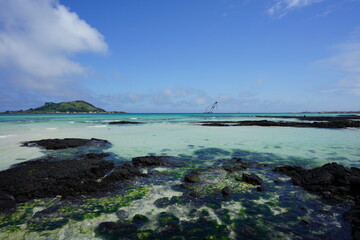 Fototapeta premium mossy rocks in shoaling beach