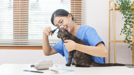 Pet salon concept, Female veterinarian using scissors to trim fur of cat in the salon